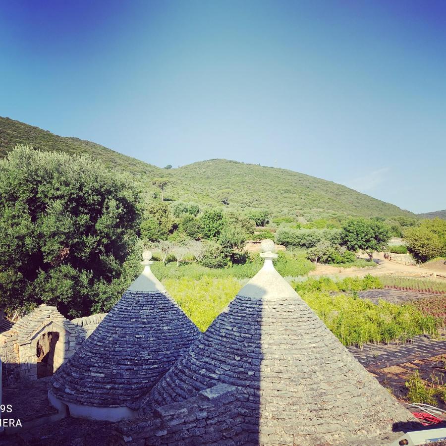 Masseria Calo Monopoli Buitenkant foto